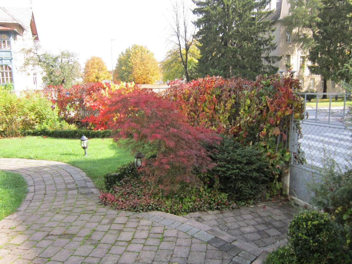 Guest House Veronika Kocevje Buitenkant foto